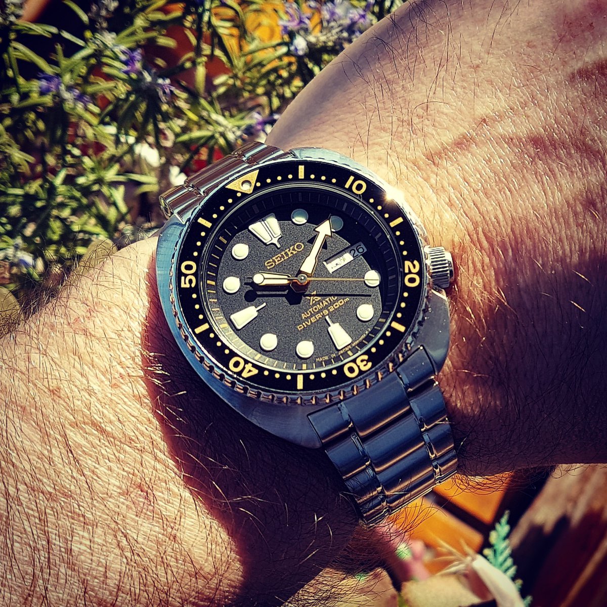 mate_cimarron's tweet photo. #Seiko #Prospex #SRP775 #SeikoTurtle #SeikoSKX #Turtle #Tortuga Cal. 4R36 Auto 200M #PADI #SeikoDiver #Automatic #SeikoTurtle #Diver #Dive #Divers #Submariner #orologi #Montres #Montre #Watch #watches #timepieces #timepiece #relojesespeciales #SeikoWatch #reloj #relojes #Time ► https://t.co/d1SKmQ0MeC