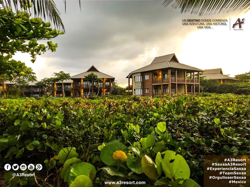 A3Resort's tweet photo. #A3Resort #SaxaaA3Resort ๐ฒ๐ฝ #OrgulloSerSaxaa #GrupoSaxaa #Golfโ #Spa #ExperienciaA3 #A3Moment #SiguemeYTeSigoAlInstante #siguemeytesigo #SiguemeYTeSigoDeVuelta #follobackinstantly #folloback #sigueme #FolloMe #follo4follo #FolloForFolloBack #SiguemeYTeSigoCumplo https://t.co/bSoddY3UZ7