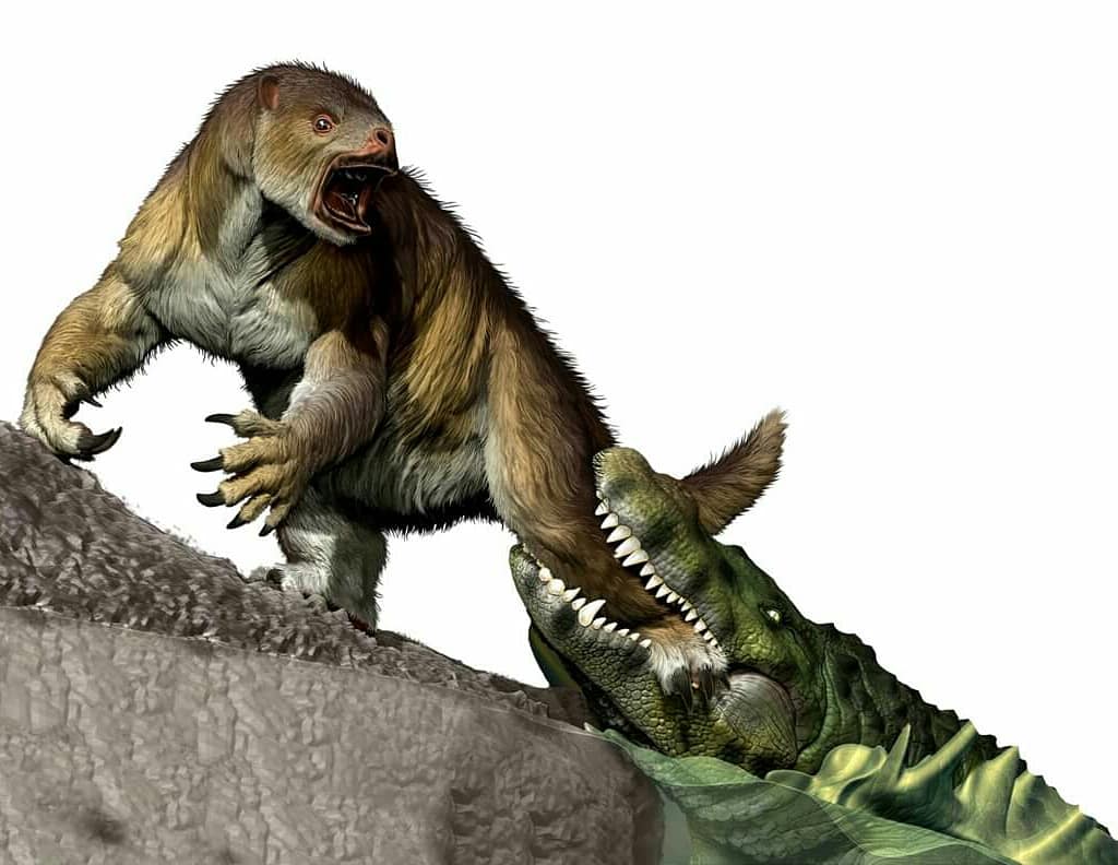 fedkukso's tweet photo. Paleoarte en acción. 
Paso a paso. 
x Jorge González. @JPaleoart https://t.co/2TubH4hQbz