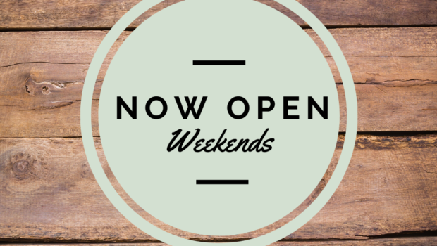 Wyncotehouse's tweet photo. Come Visit us at Wyncote House. 

We are now open Saturdays 10am-5pm and Sundays 10am-3pm! https://t.co/s9OyKJVywb