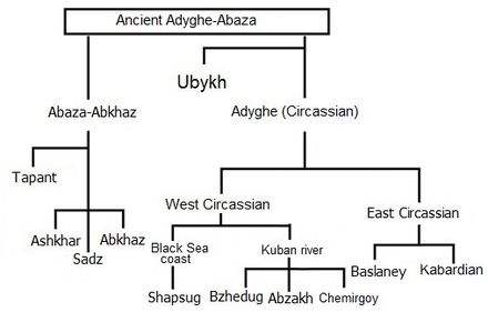 You see originally the Circassians and Abazas were one nation, similar to how the Latin and Germanic people all descendend from one common root.As time began to spread out, the groups migrated due to many factors, thus ultimatly creating the Ubykh, West, and Eastern tribes