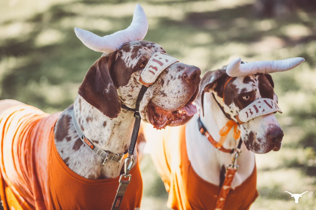 EgXmJs9XoAAa9bD?format=jpg&name=large