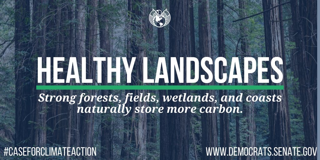 Healthy wild and working landscapes are critical in the fight against climate change.If we act now, we can support resilient forests, fields, wetlands, and coastal habitats that naturally store more carbon.