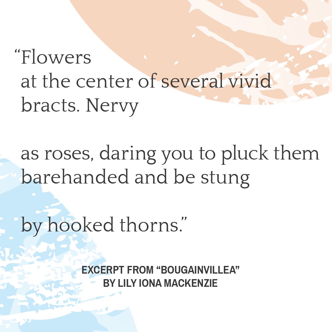 MaynardPoetry's tweet photo. We’ll round out the month with “Bougainvillea,” by Lily Iona MacKenzie from the Twenty-Twelve anthology of The Maynard:
Read the poem here: https://t.co/GObNm7kj7R
#poetry #readpoetry #TheMaynard #TMarchive
#TM2012 #TMcontributor #TMorange #TMmascot #TMtotemfruit https://t.co/HKPRF4CApX