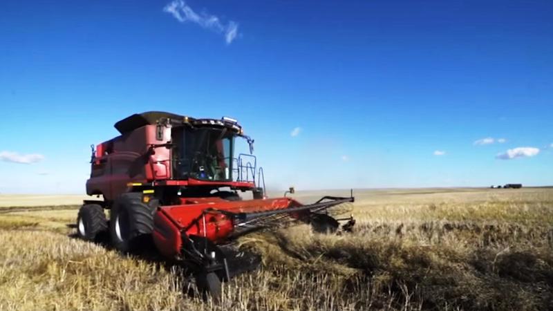 rdnewsNOW's tweet image. Agri-Trade Equipment Expo returning in November dlvr.it/RfPhmY