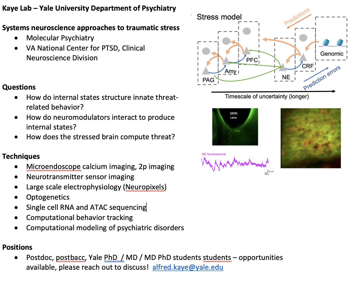Excited to announce I'm starting a lab at Yale @YalePsych! The lab will combine in vivo optical and ephys recordings with transcriptomics in neuromodulators to study adaptations to trauma as computations. Postbacc/postdoc positions available in a great community, pls rt!