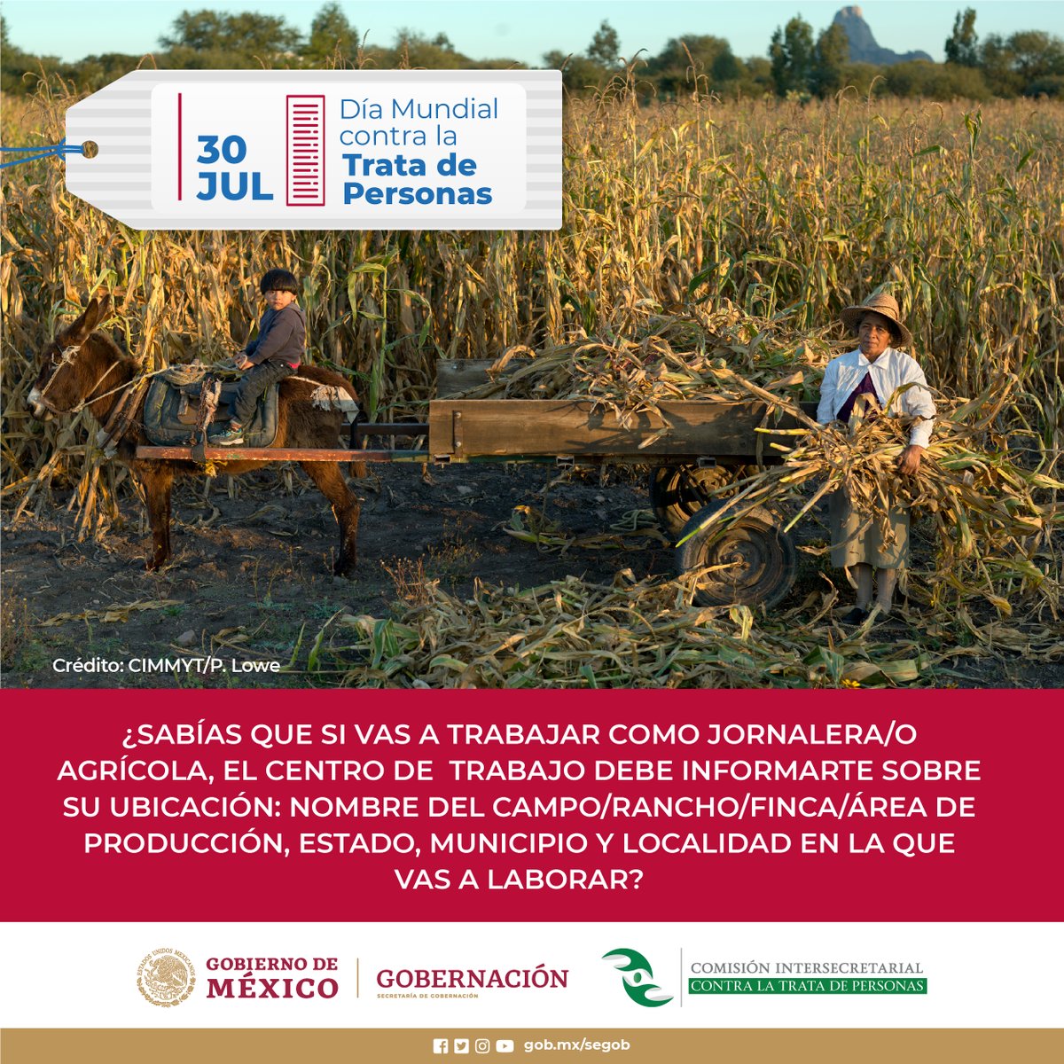 Prevencion_Coah's tweet photo. ¿Sabías que hay Ofertas de empleo especialmente atractivas, con grandes beneficios en salario y prestaciones, que requiere poca o nula experiencia, que pueden ser para trata de personas? 1/2 https://t.co/dZ7mlsPrj2