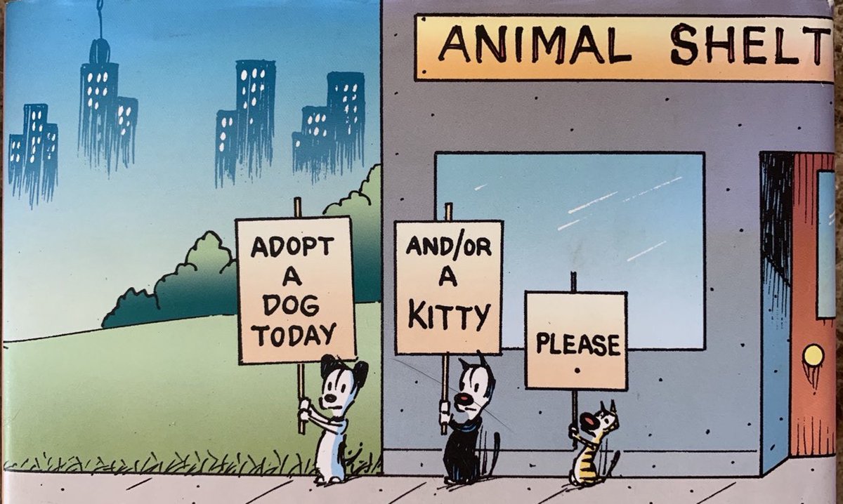 Happy International Dog Day! Adopt Don’t Shop! Bring some four legged love home! 💕❤️