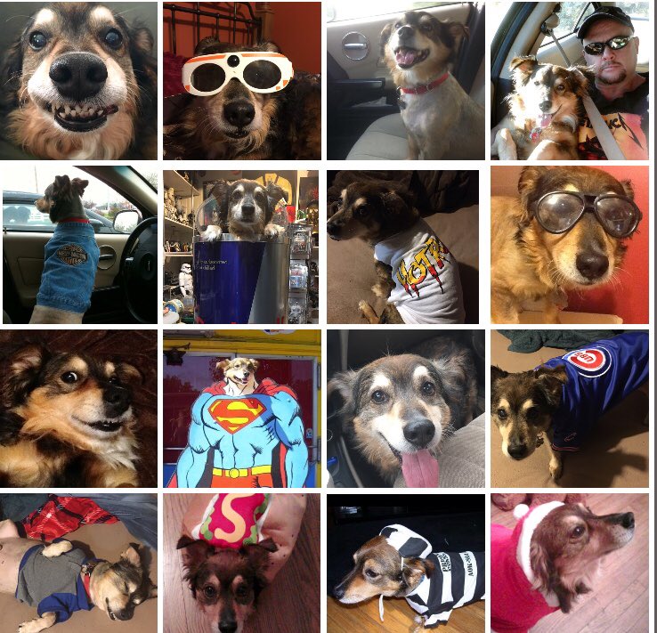 Flash Flanagan tweet media