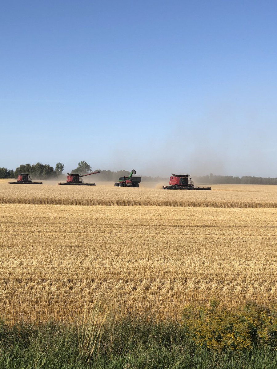 Evans Farms Ltd tweet media