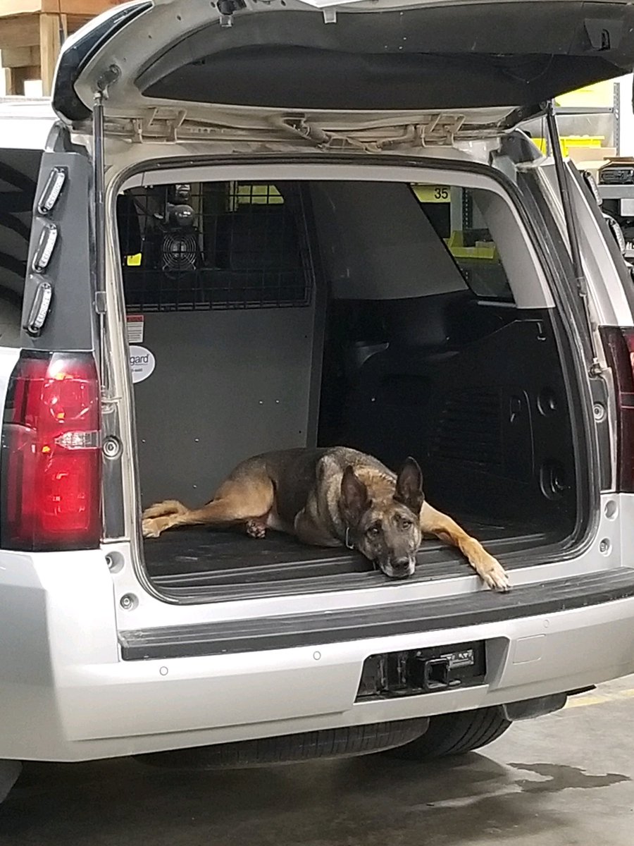 iowastatepatrol's tweet photo. Today is National Dog Day. We want to highlight some very important members of the Iowa State Patrol. These are a few of our 6 canine patrol dogs. https://t.co/03YNPasw5n