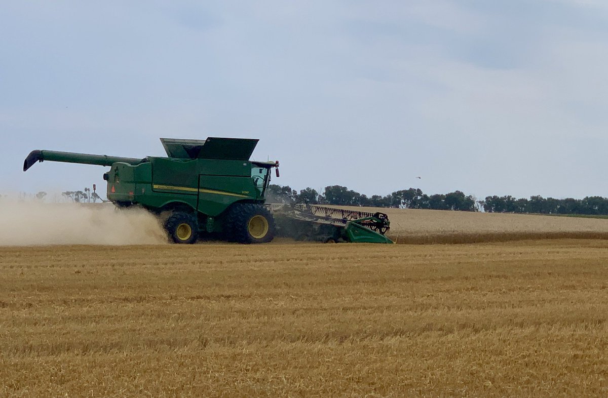 LeadingEdgeEq's tweet photo. Demo near Cando, ND, running the #JohnDeere #HD40R against the #MacDon FD140. Easy in-cab adjustments on HD40R, esp. customizing multi-function lever. Full video coming soon. #harvest20 https://t.co/98js0Hl2MZ