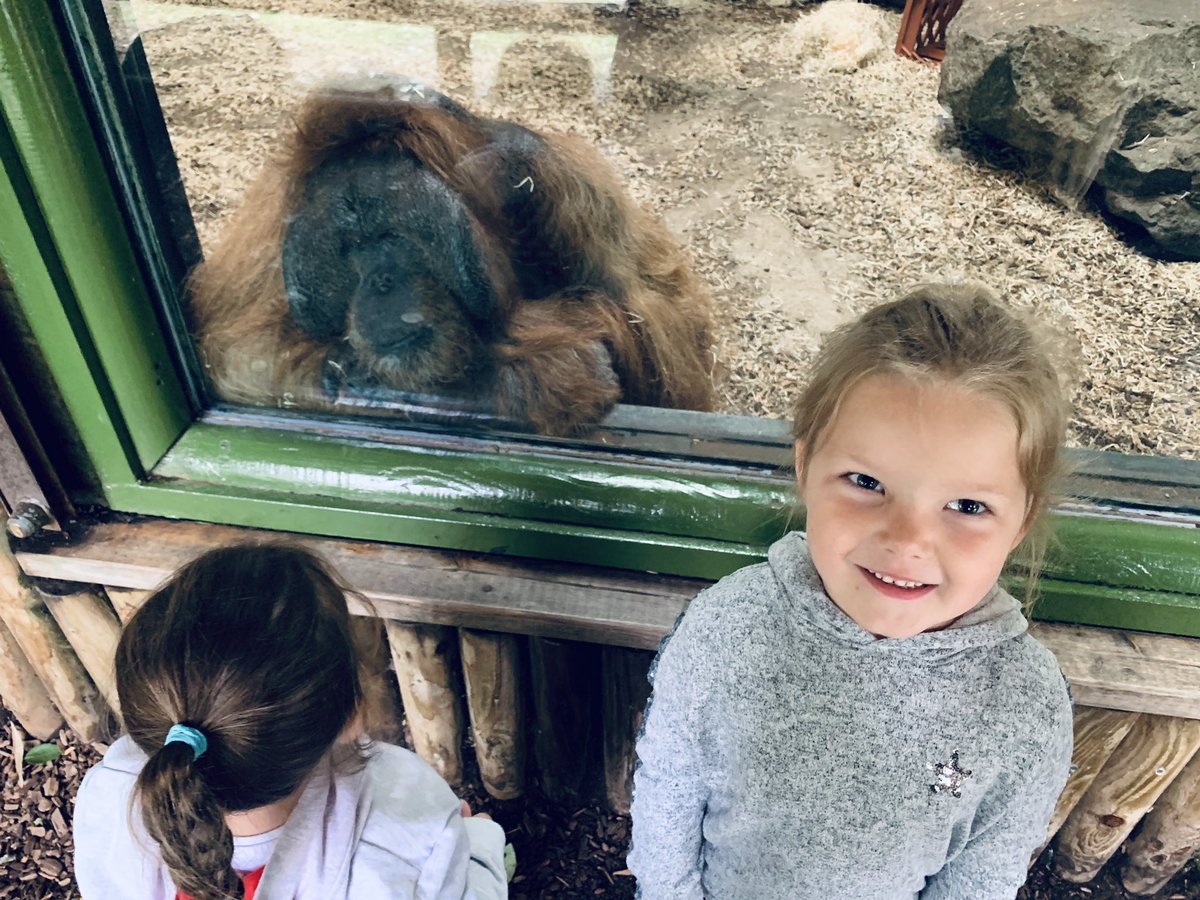 SBrennan_Collis's tweet photo. An amazing last day of annual leave at another #zoo! This time it was a family day @dudleyzoo #greatnieces #familydayout #olduncle ❤️🙏 https://t.co/cKHJpD1FdZ