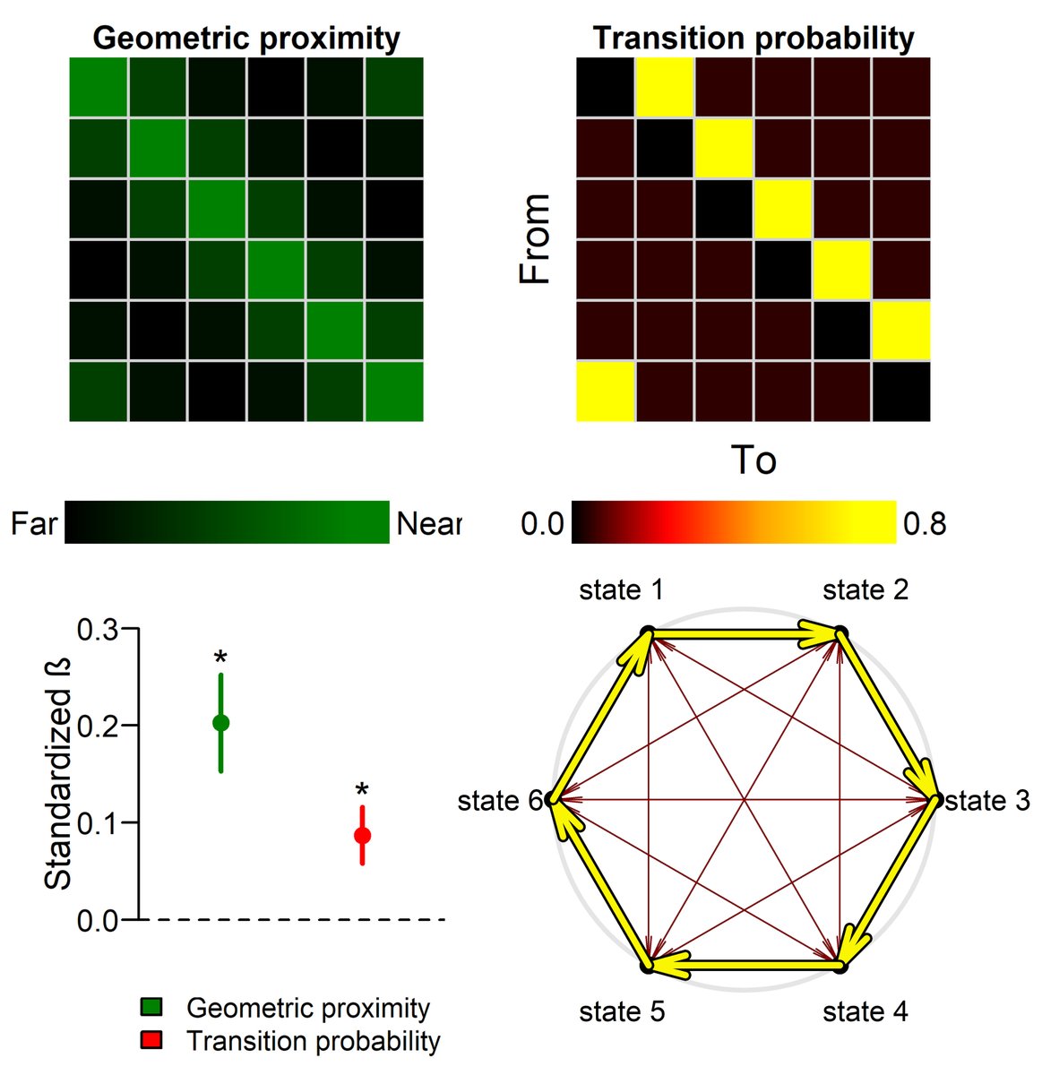 We also tested several computational models of how people translate transition probabilities into a conceptual structure, such as this geometric "state-space" account tested in Study 6: