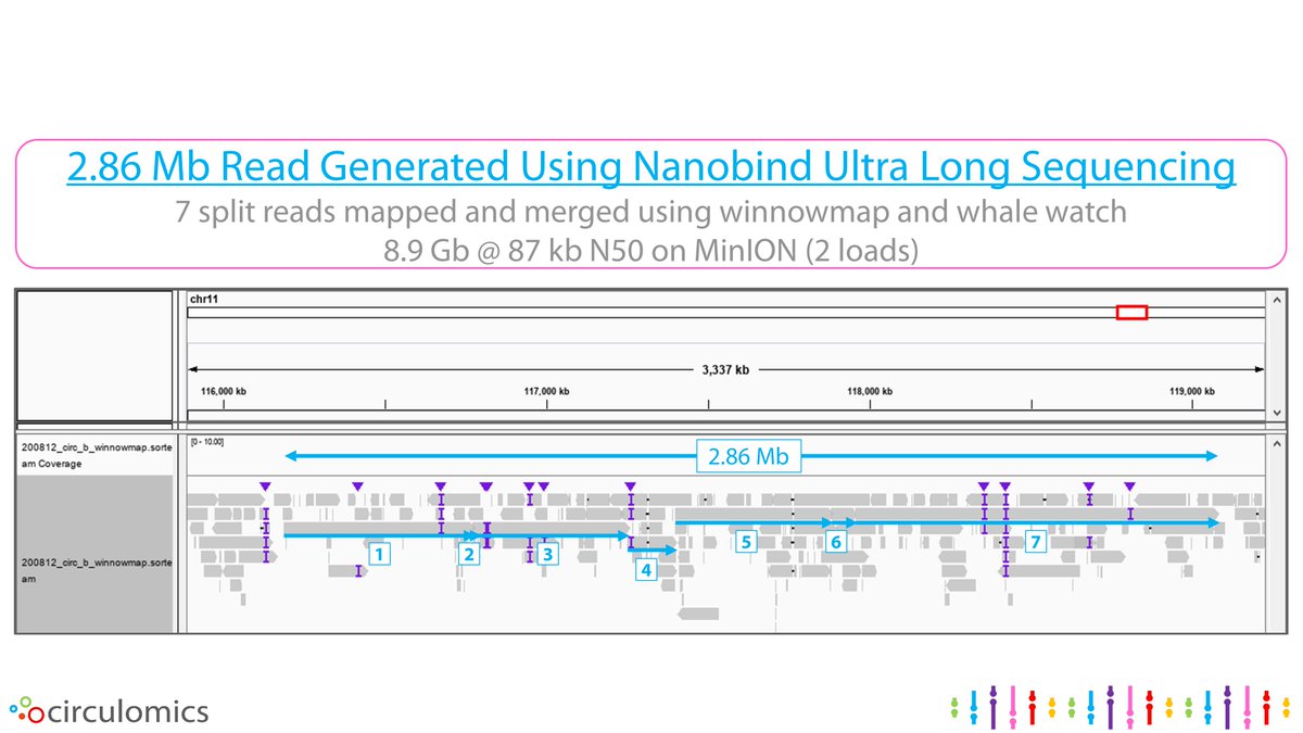 Nearly generated a 3 Mb read on @nanopore. Only ran 2 libraries so throughput was a little lower than usual. Excited to launch this method and see new records every week.