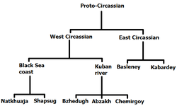 Now the Shapsugs, Bjedugs, and Kabardeys are the biggest 3 tribes today in the homeland, and also the founders of their various sub groups.Here, each of the 3 tribes had groups related to them but due to migration and dialect split from the big three as well.