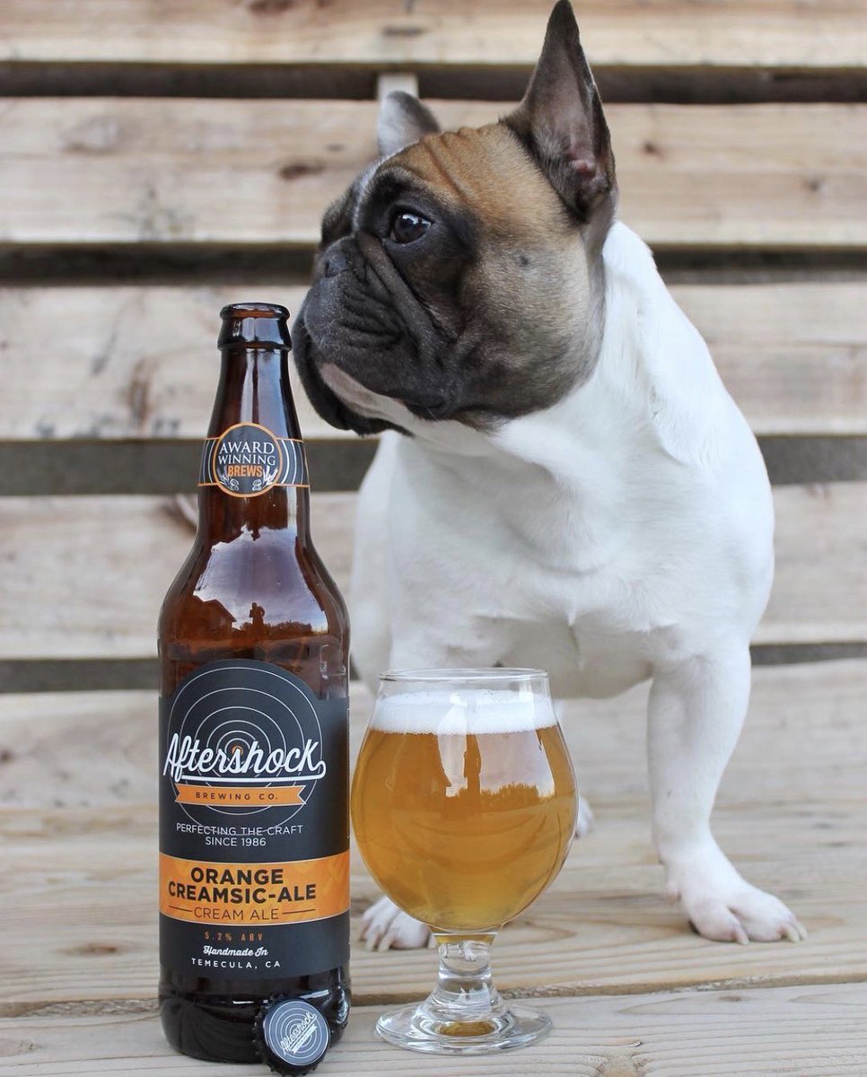 Aftershockbrew's tweet photo. Dog Dayz 🍺🐶 

Happy #InternationalDogDay! Come celebrate with your best friend at our dog friendly patio, open from 2-8pm today 🍻 It’ll be pawesome 😎 https://t.co/TnFyz2KNhb