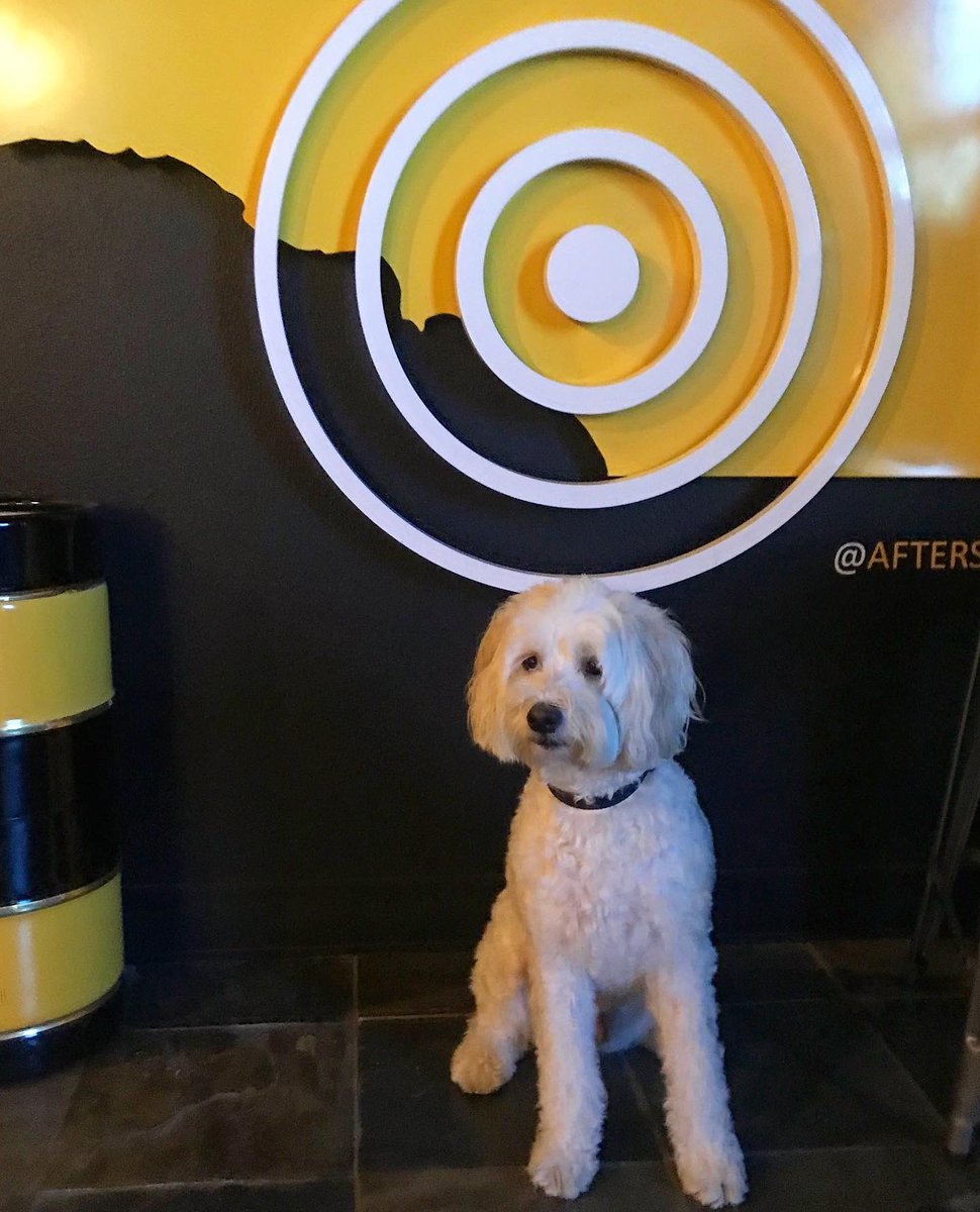 Dog Dayz 🍺🐶 

Happy #InternationalDogDay! Come celebrate with your best friend at our dog friendly patio, open from 2-8pm today 🍻 It’ll be pawesome 😎