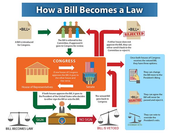 VirginiaLCV's tweet photo. The average American doesn’t know the steps it takes a bill to become a law. Do you? #vote #congress #millenials #themoreyouknow #VAvotes #VALCV https://t.co/flzdB0sHGC