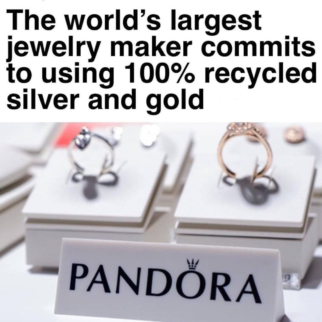 Zero Plastic tweet media