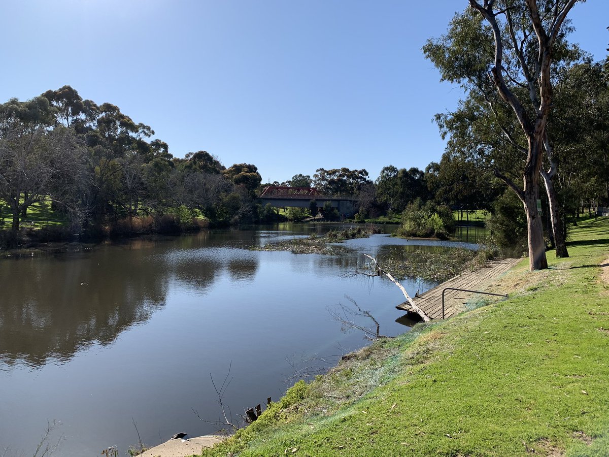 Daily Move. There should be no excuses on a day like today. Have you moved today? #moveot #DailyMove #motivate #recover #develop #MAINTAIN