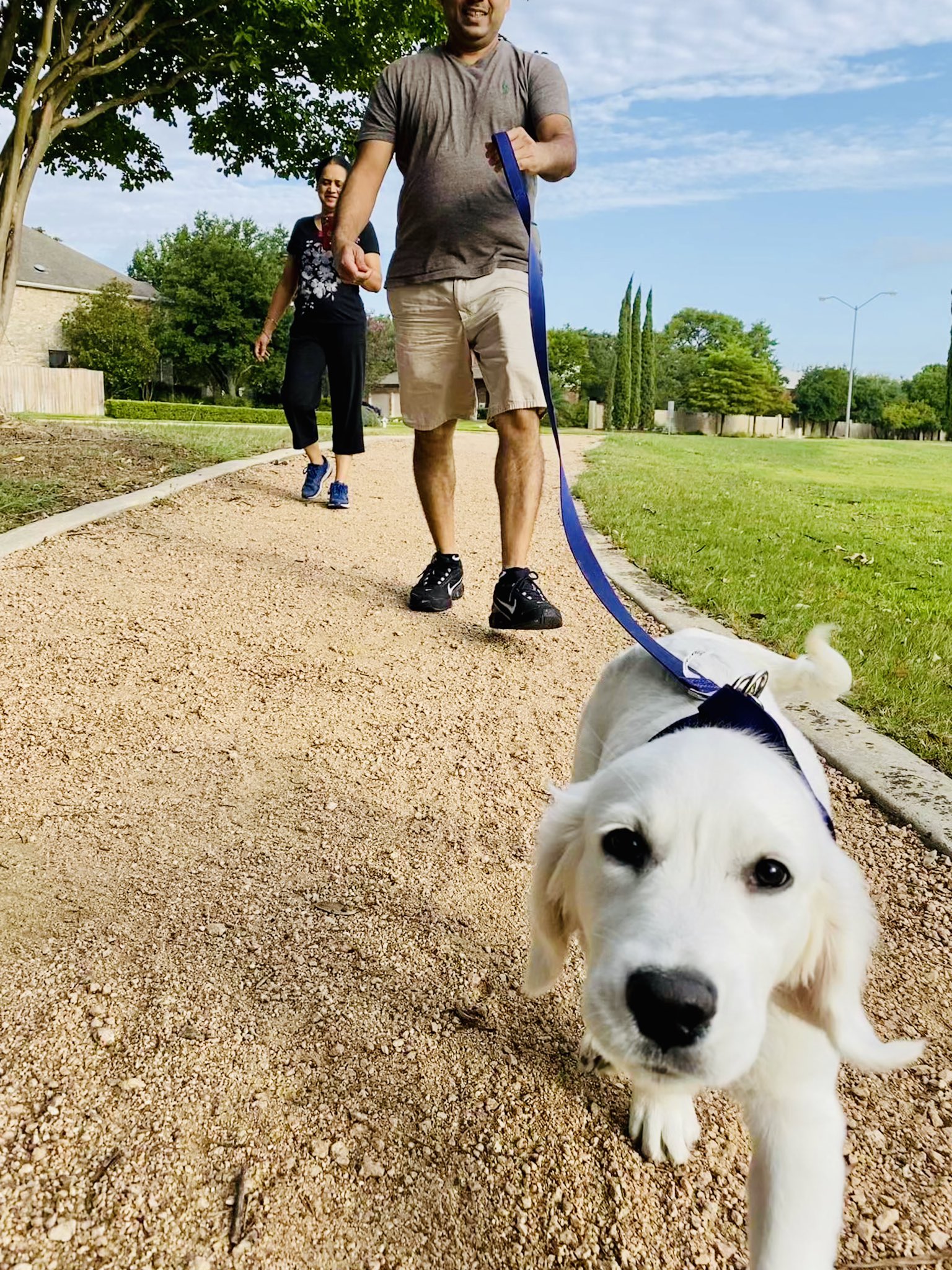 Apollo Dog Training (TrainingApollo) / Twitter