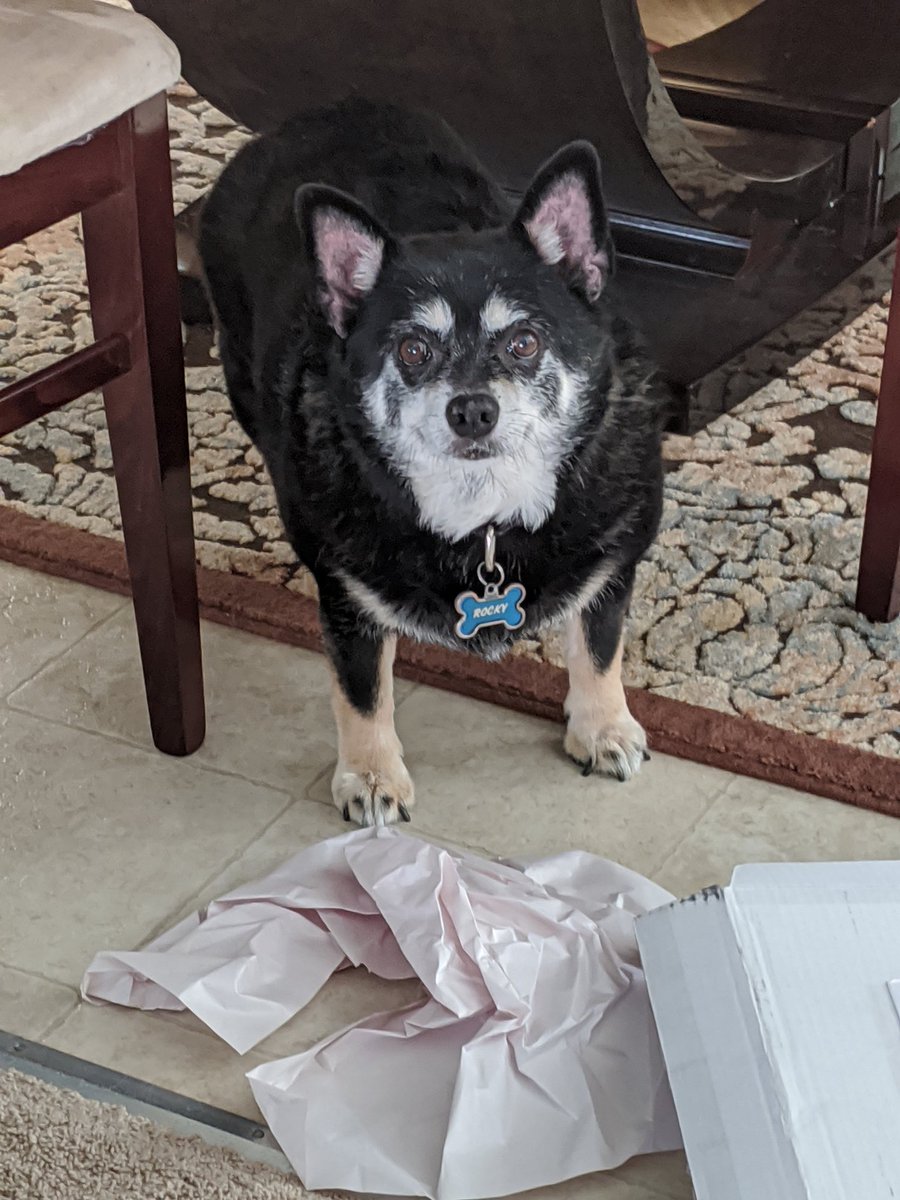 egg ❄️ tweet media