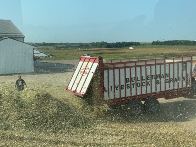 TaylorJaym's tweet photo. A warm day harvesting @LGSeeds silage plot. Dry matters rising rapidly with this heat wave. 100-109 day range. Thanks to @ColtBullerman @cambull24 for the cooperation @kherf48 @Hoag79 https://t.co/Liiwu0cXM7