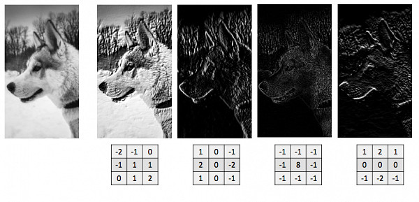 Websystemer's tweet image. How Convolution Neural Networks interpret images - websystemer.no/how-convolutio…
#ai #convolutionneuralnet #deeplearning #imageprocessing #machinelearning