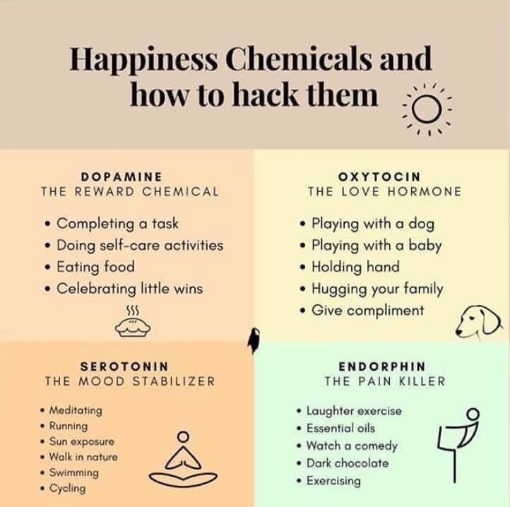 CarrieElsinger's tweet photo. Happiness chemical : (from SEL Space) https://t.co/emNeYmW0jW