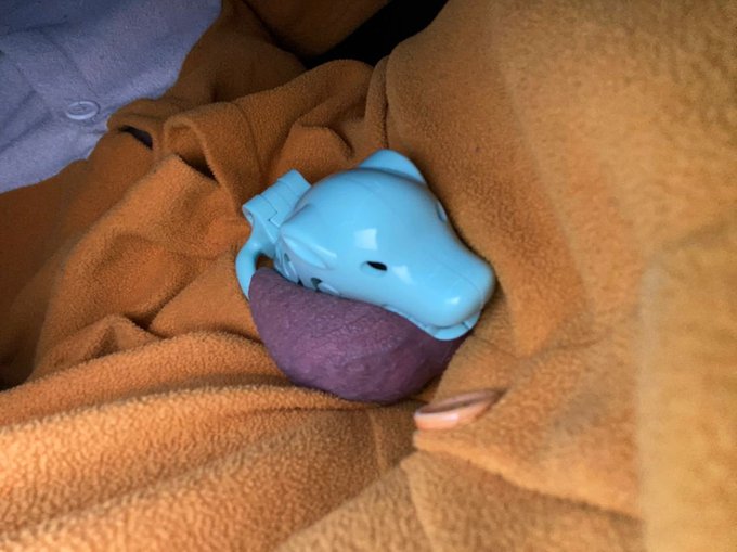 Gosh I love this one so much 💕💕 https://t.co/Zl5cT1FT8F<a href="/tag/catsuit"class="tags"><span>#catsuit</span></a><a href="/tag/murrsuitmonday"class="tags"><span>#murrsuitmonday</span></a><a href="/tag/murrsuit"class="tags"><span>#murrsuit</span></a><a href="/tag/petsuit"class="tags"><span>#petsuit</span></a>