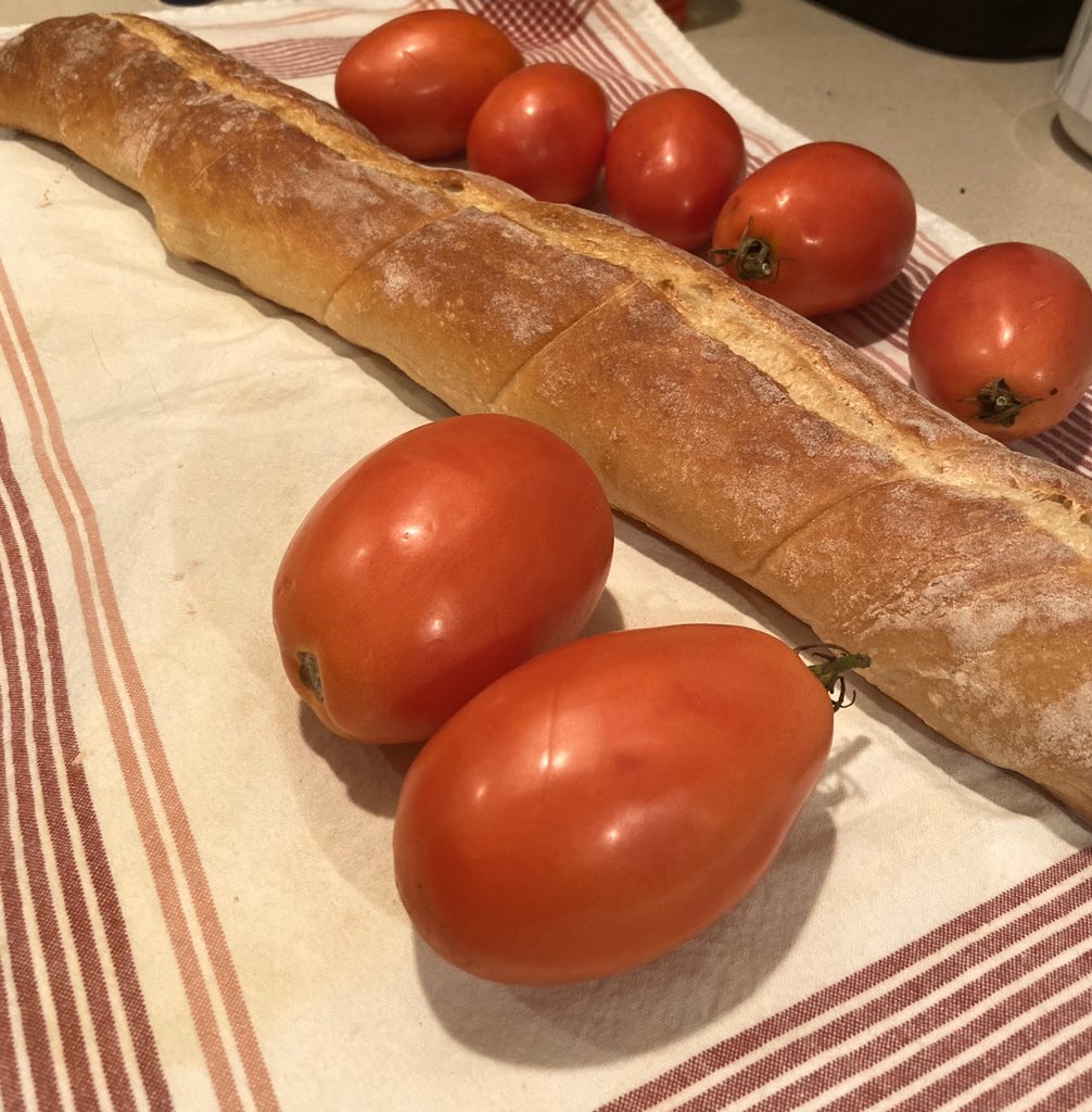 Breadchick's tweet image. And this came out of the oven earlier today. My roma tomato plant finally produced tomatoes that didn’t die on vine. Bruschetta with roasted tomatoes on tap for tomorrow. (The bread is a coccodrillo aka crocodile bread. Very, very wet dough at almost 82% hydration) #breadnerd
