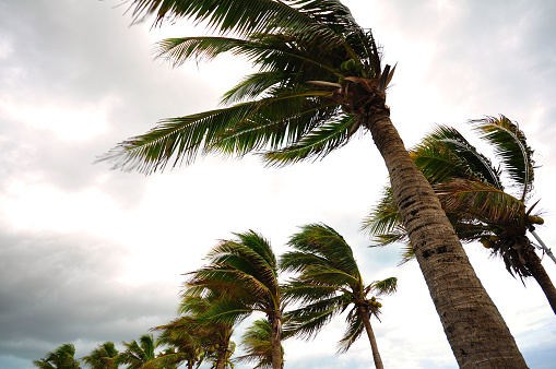WoodallHoggle's tweet photo. Keeping your home safe in strong winds https://t.co/VpPa0v8Ezj https://t.co/TtwpH4MgTR
