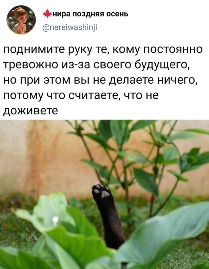 Фунт Стерлингов (@fa_tuchka) on Twitter photo 