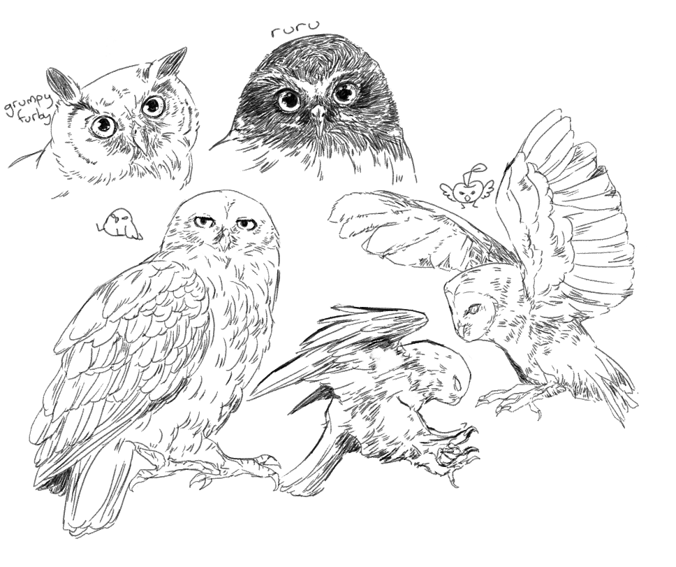 #AnimalArtistsUnite bird man take me by the bird hand 