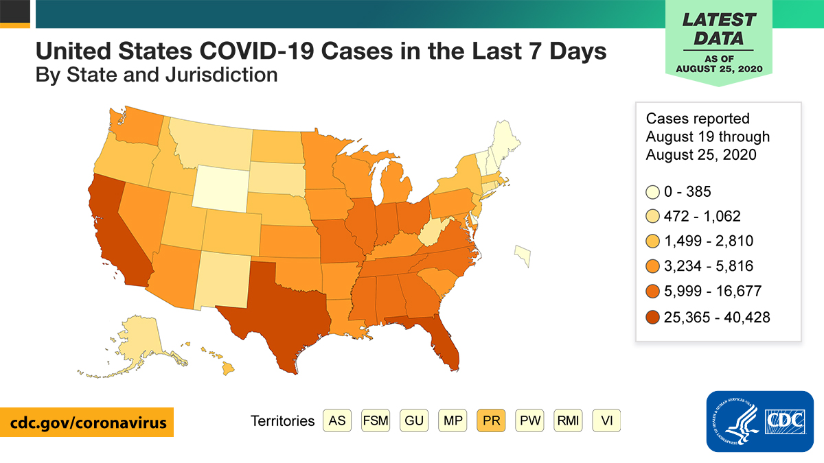 Usa covid 19 cases