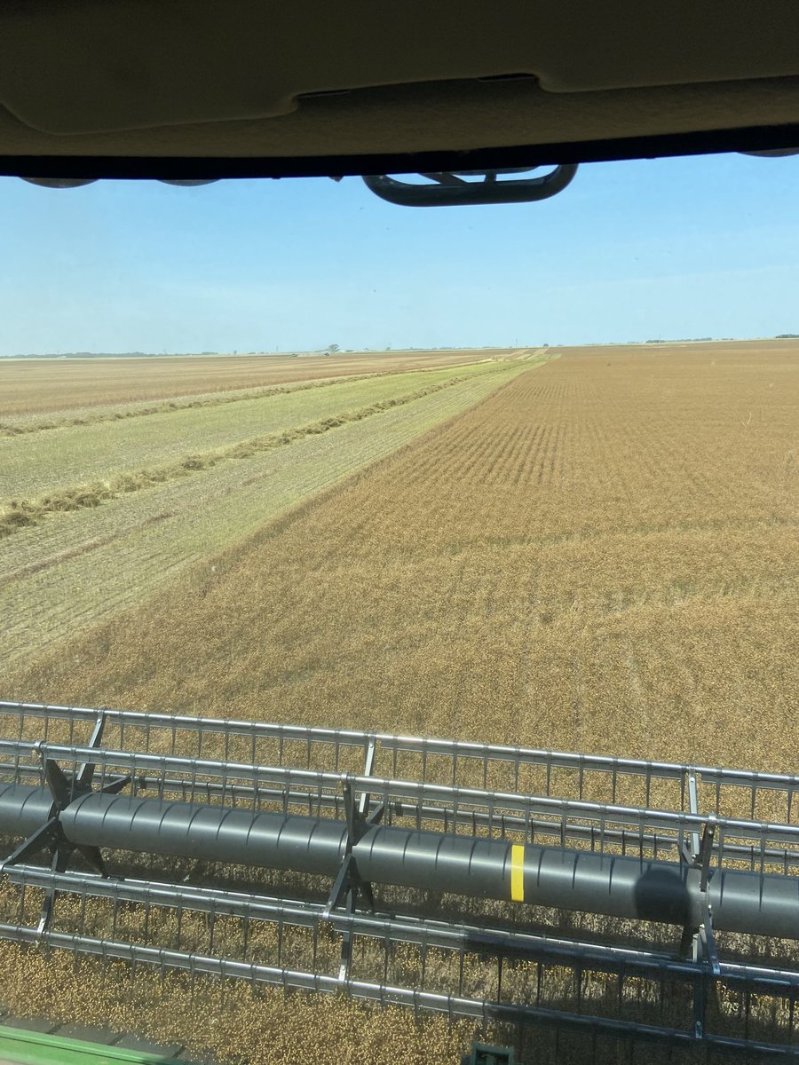 rtk1007 tweet picture