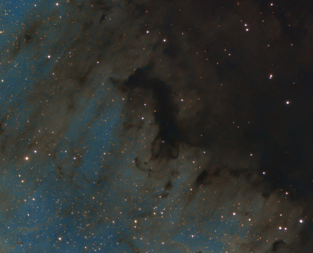 KeefBram's tweet photo. More dire UK weather,so more throwbacks to 2014,here is reprocess of #NGC7000 imaged in SII, H-alpha &amp; OIII mapped to RGB. Taken with a #MN190 &amp; @AtikCameras #383l from my back garden in #lancashire #astro #Astrophotography #nebula #narrowband #ThePhotoHour 100% crops included. https://t.co/rrFPJXZbTB
