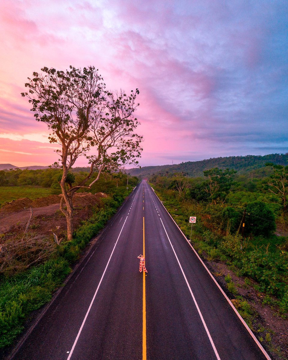 72horasMx's tweet photo. Al atardecer, #Costalegre se pinta de distintos colores. Sigue explorando con nosotros #Jalisco a través del lente de los talentosos fotógrafos e #InspirateEnMéxico
¿Ya estas planeando tu próxima aventura?
📸@CS_Drones, @isaac_jeroo
#LaMagiaDeCareyes #JaliscoEsMexico 
@JaliscoesM https://t.co/0HBX9oy7PK