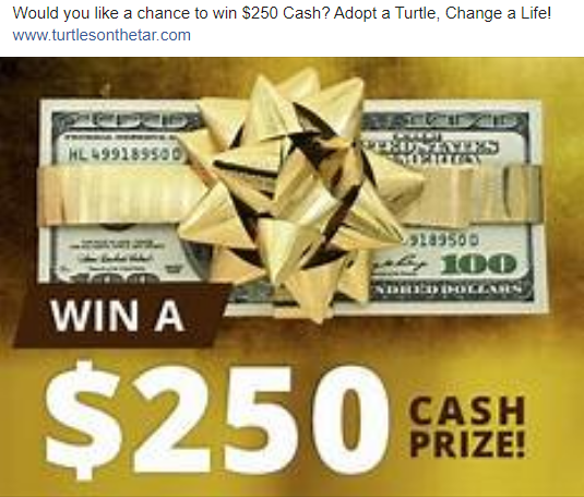 Boys & Girls Clubs of the Tar River Region (@bgctrr) on Twitter photo 