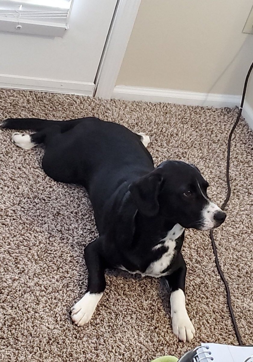 Emily Morris tweet media