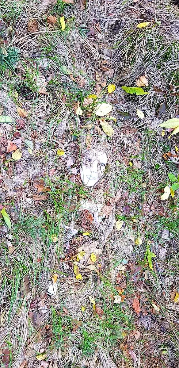 her soul kills her alone