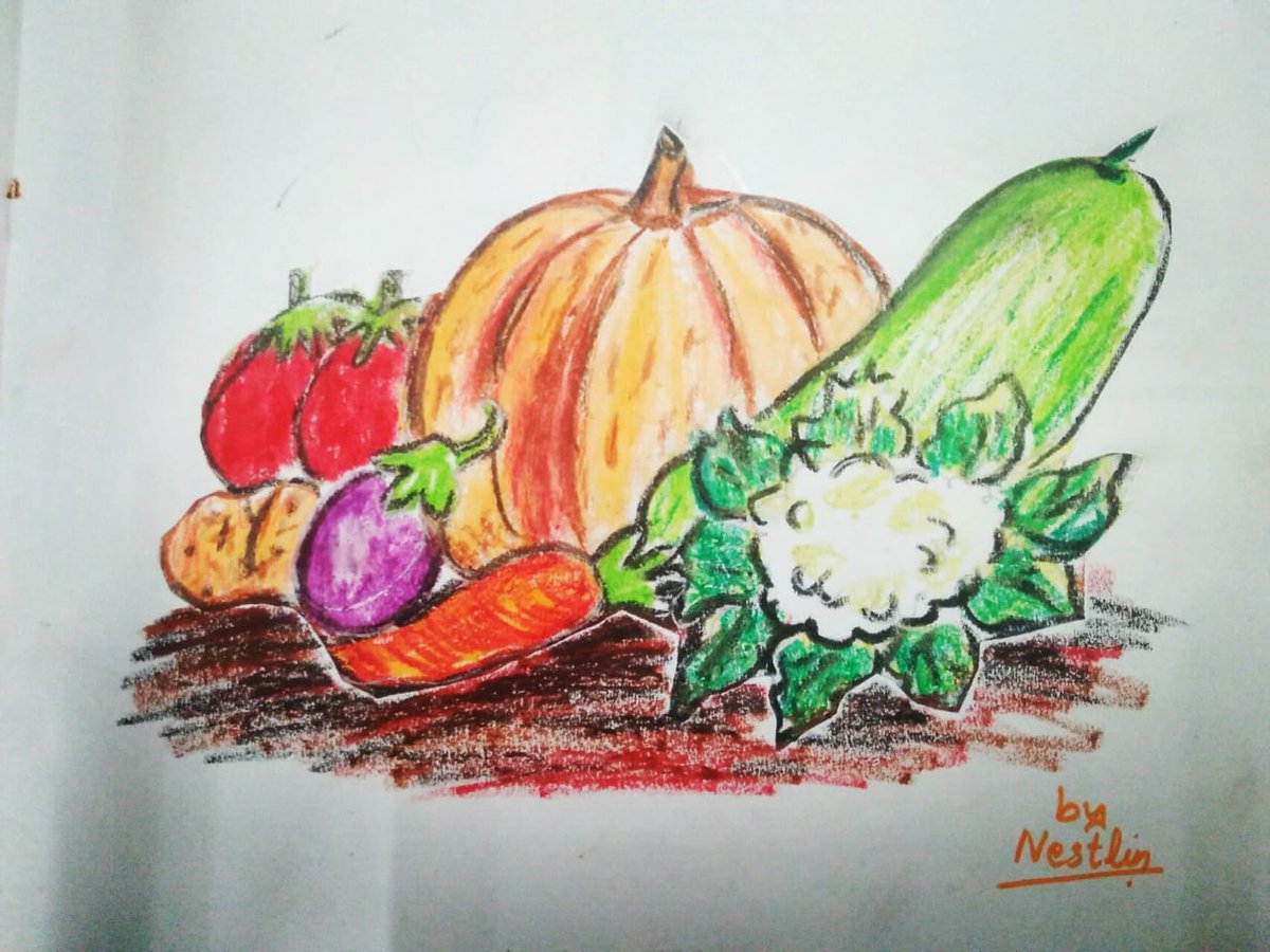 Outline Hand Drawn Sketch Vegetable Still Life Composition (Flat Stock  Photo | Royalty-Free | FreeImages