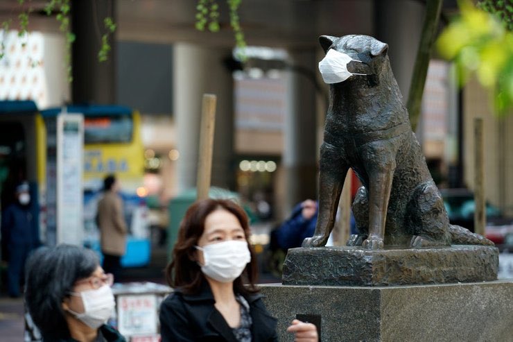 On  #NationalDogDay, we like to appreciate Tokyo’s—and the world’s—enduring love of Hachikō, the dog who waited loyally at Shibuya Station for his deceased owner for 10 years, until he also passed away in 1935. We present photos of Shibuya Station’s famous statue through time...