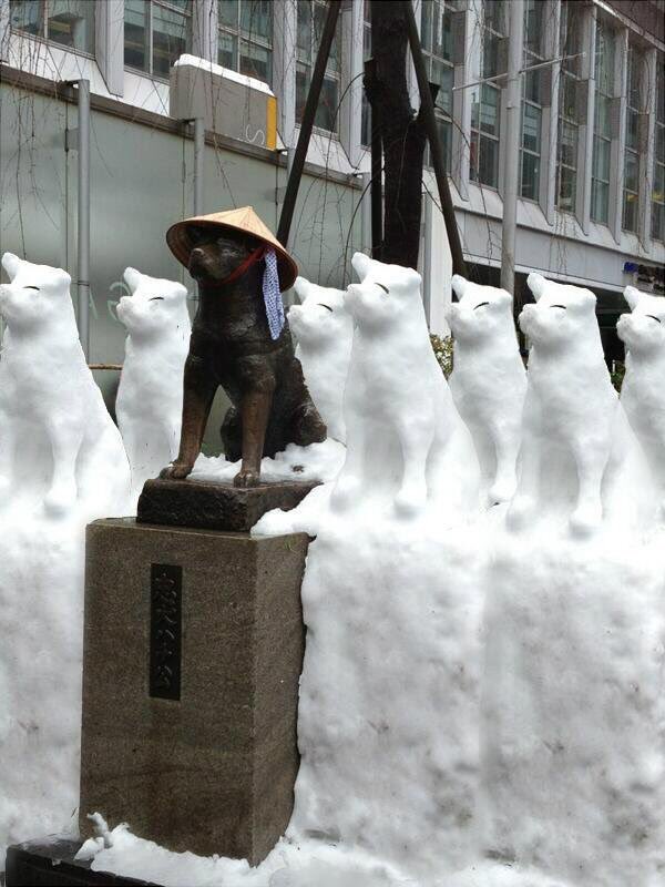 In 2014, a clever sculptor erected 7 snow-Hachikōs (“hachi” in Japanese means “eight”).
