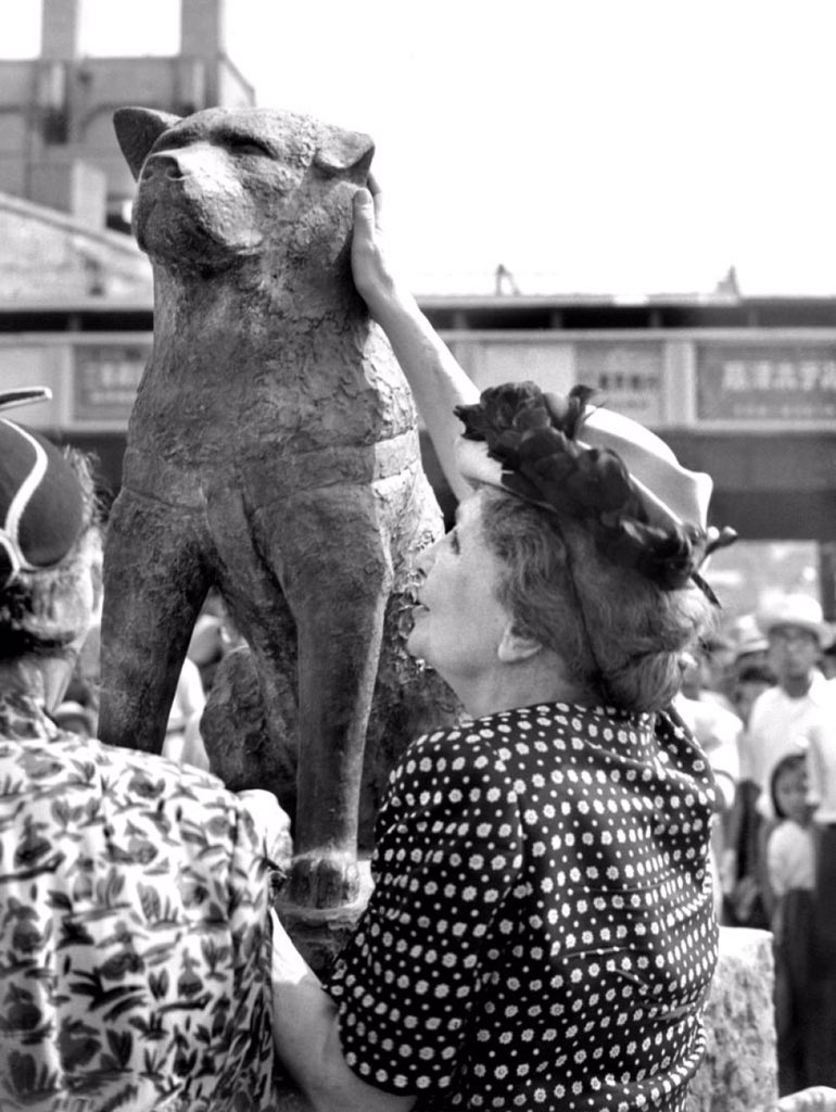 Helen Keller touches a newly erected Hachikō in 1948, which replaced the 1934 original which was destroyed in the war.