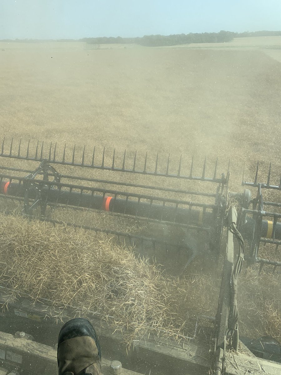 6 days reglone. 345ing.