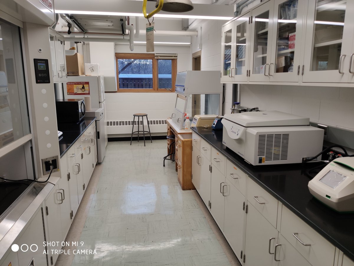 Jiwei (@zhang_jiwei) on Twitter photo anniversary as a faculty since last Aug. 26, from chair assembling to a fungal molecular lab <a href="/UMNBBE/">UMN Bioproducts & Biosystems Engr</a>. Thank you people who have helped me <a href="/shroominn/">Jonathan Schilling</a> <a href="/UMNMycology/">Mycology Club @ UMN</a> <a href="/forestmycology/">Robert Blanchette</a> anniversary as a faculty since last Aug. 26, from chair assembling to a fungal molecular lab <a href="/UMNBBE/">UMN Bioproducts & Biosystems Engr</a>. Thank you people who have helped me <a href="/shroominn/">Jonathan Schilling</a> <a href="/UMNMycology/">Mycology Club @ UMN</a> <a href="/forestmycology/">Robert Blanchette</a>
