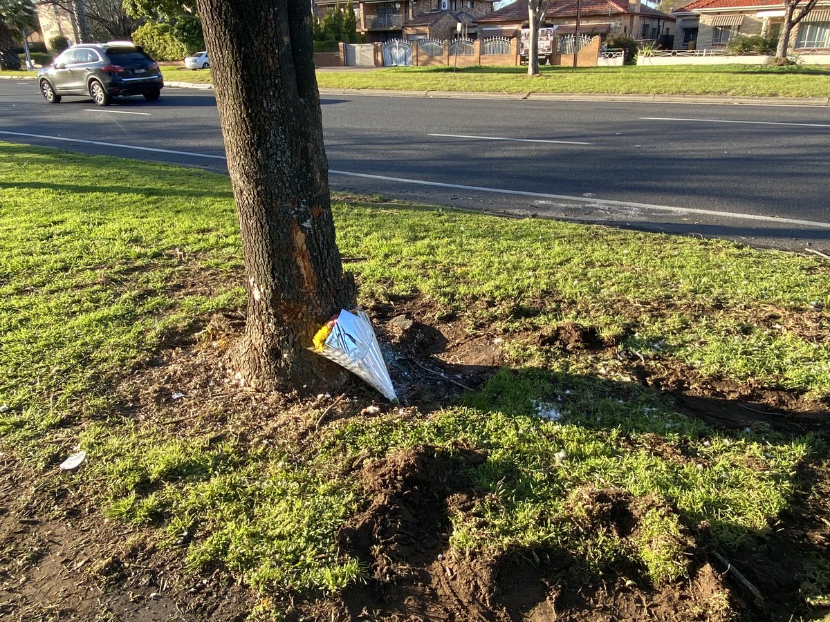 Flowers placed at the scene of a fatal crash on Anzac Hwy, Novar Gardens. A car slammed into this tree. Witnesses say one man staggered from the wreckage. The other was trapped inside and died hours later at the RAH <a href="/theTiser/">The Advertiser</a>
