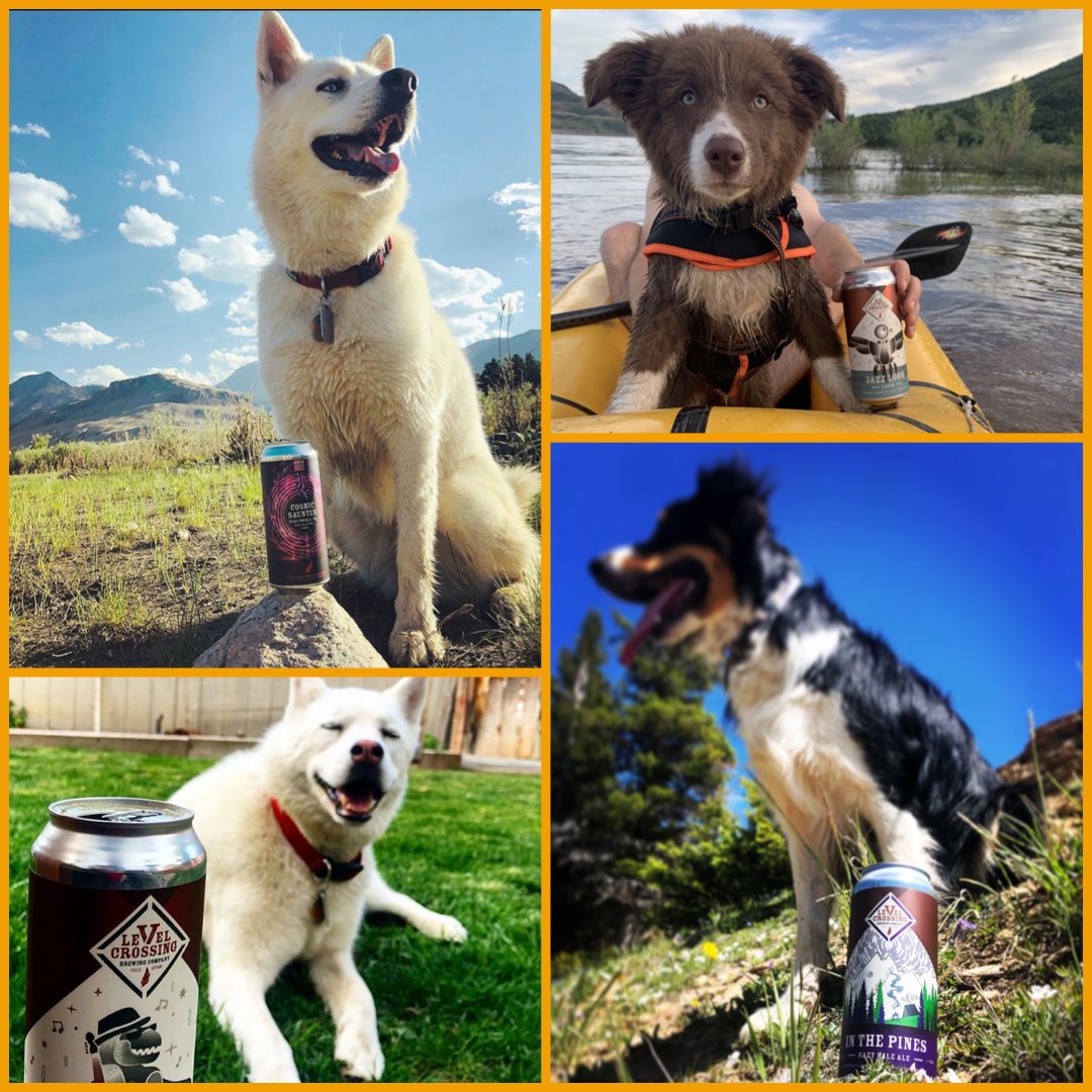 Happy National Dog Day to our our furry, brew-dog friends. And to all the other dogs out there, cheers!
#craftbeer #utahisrad #independentbeer #utahbeer #beerstagram #dogs #nationaldogday #dogsofinstagram #801beer #beerlovers #beertime #beers #stayinglevel